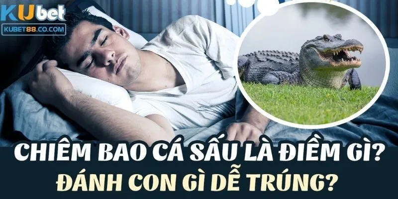 Mơ thấy 2 cá sấu đang đánh nhau